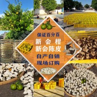 正宗新會柑、新會陳皮批發
