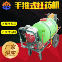 廠家供應(yīng)手推式打藥機(jī)園林果樹(shù)農(nóng)用高壓噴霧器養(yǎng)殖消毒四輪打藥車(chē)